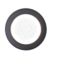 32/31 pair of poles 2 Track nonius encoder disc for magnetic encoder IC HAUS iC-MU150 Axial  Assembly